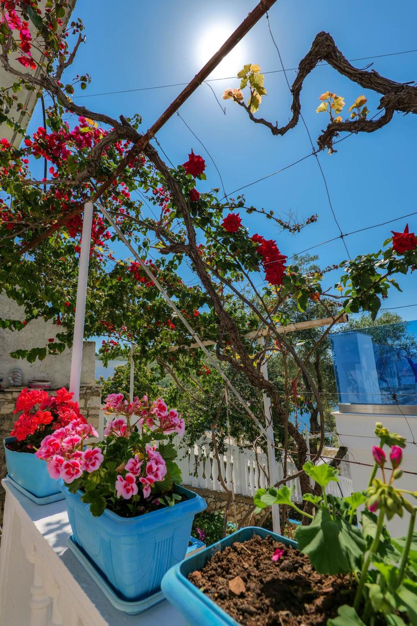 סרנדה Fabeno Villa מראה חיצוני תמונה